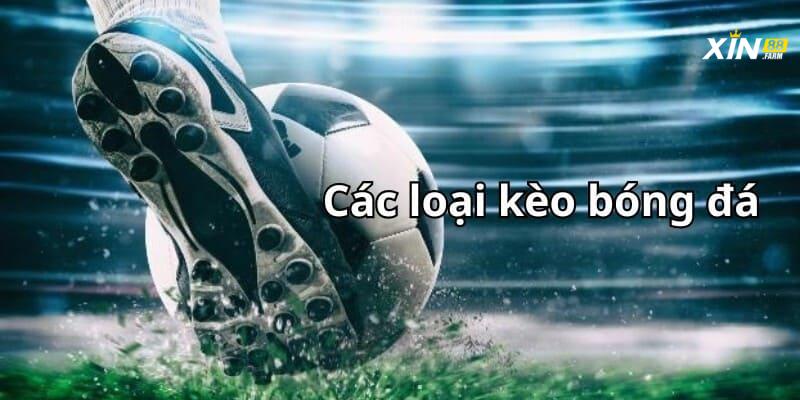 Các Loại Kèo Thể Thao Theo Môn TrêCác Loại Kèo Thể Thao Phổ Biến Trên XIN88n XIN88