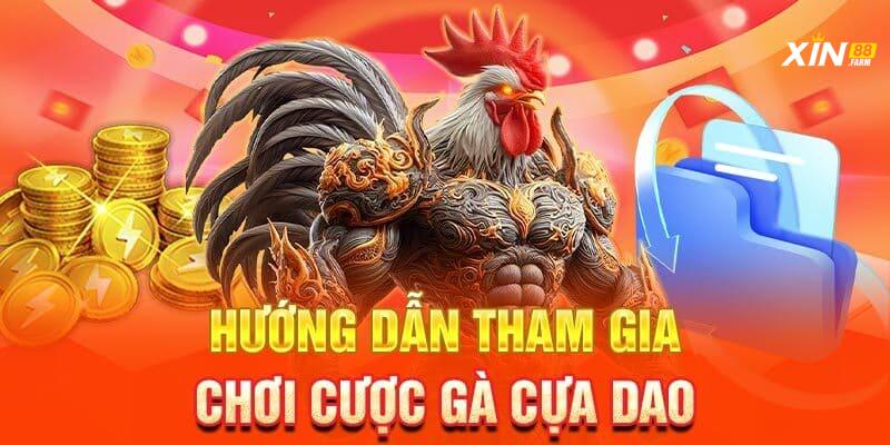 Hướng Dẫn Chi Tiết Đặt Cược Đá Gà Tại XIN88 Cho Người Mới Bắt Đầu